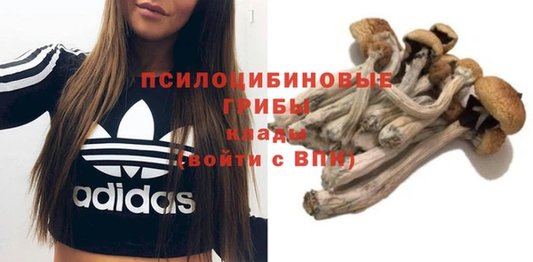 кристаллы Алзамай