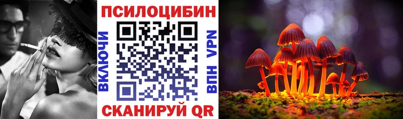 Псилоцибиновые грибы Psilocybine cubensis  Канаш 