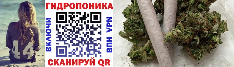 Бошки Шишки планчик  Канаш 